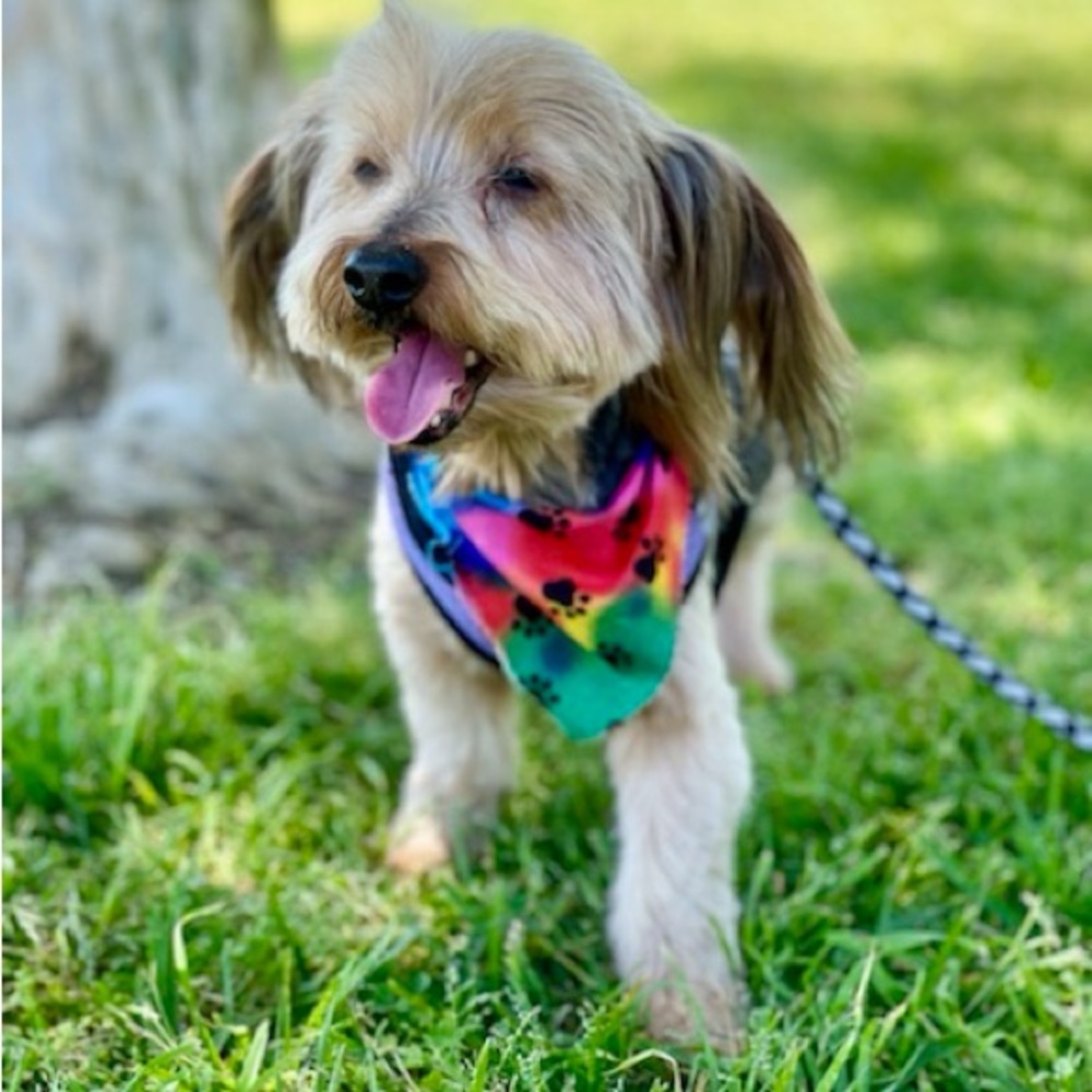 Meet your Posher, Chris